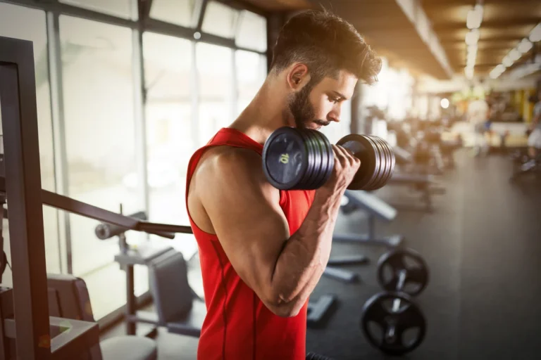 Creatina Pura Probiótica